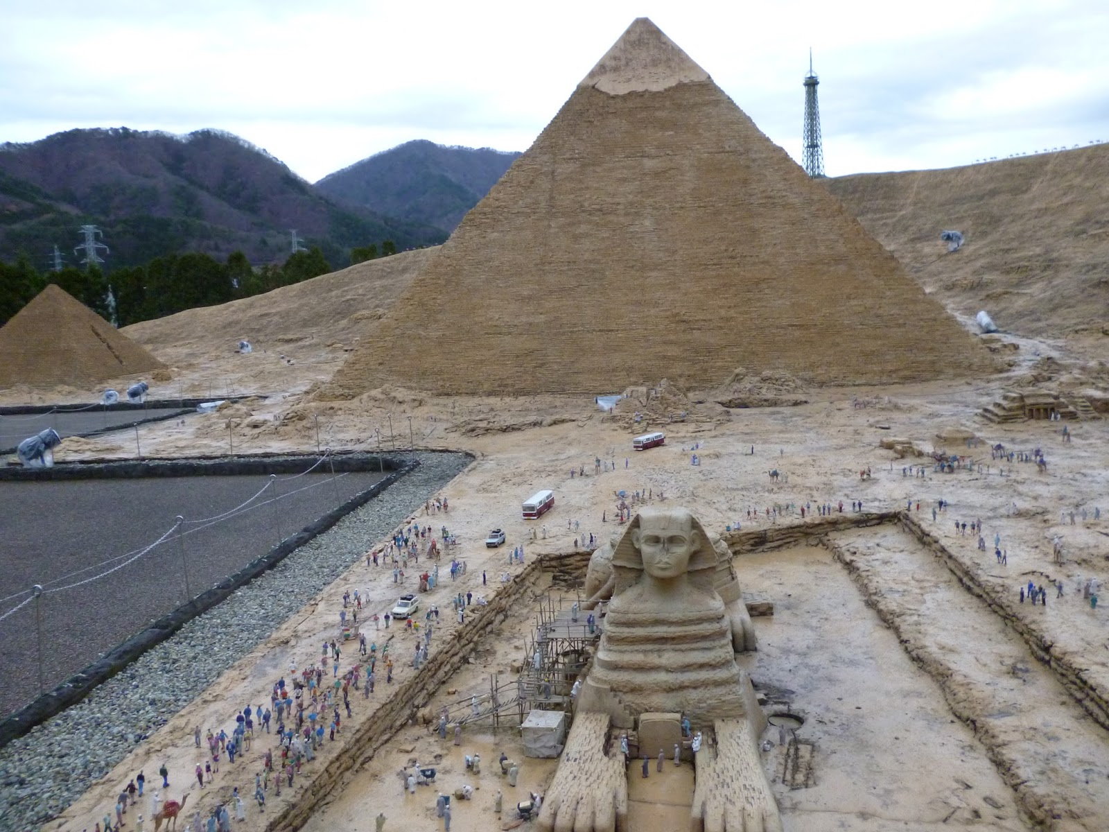 シニアの映画レビュー 15