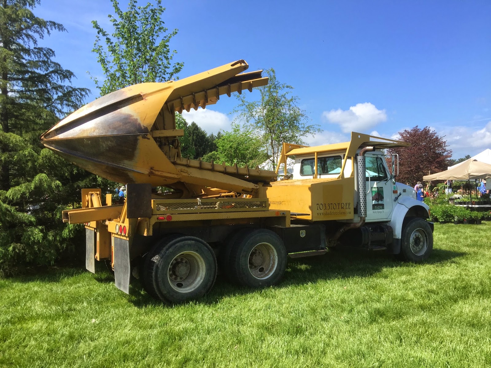 Terrierman�s Daily Dose Tree Digger
