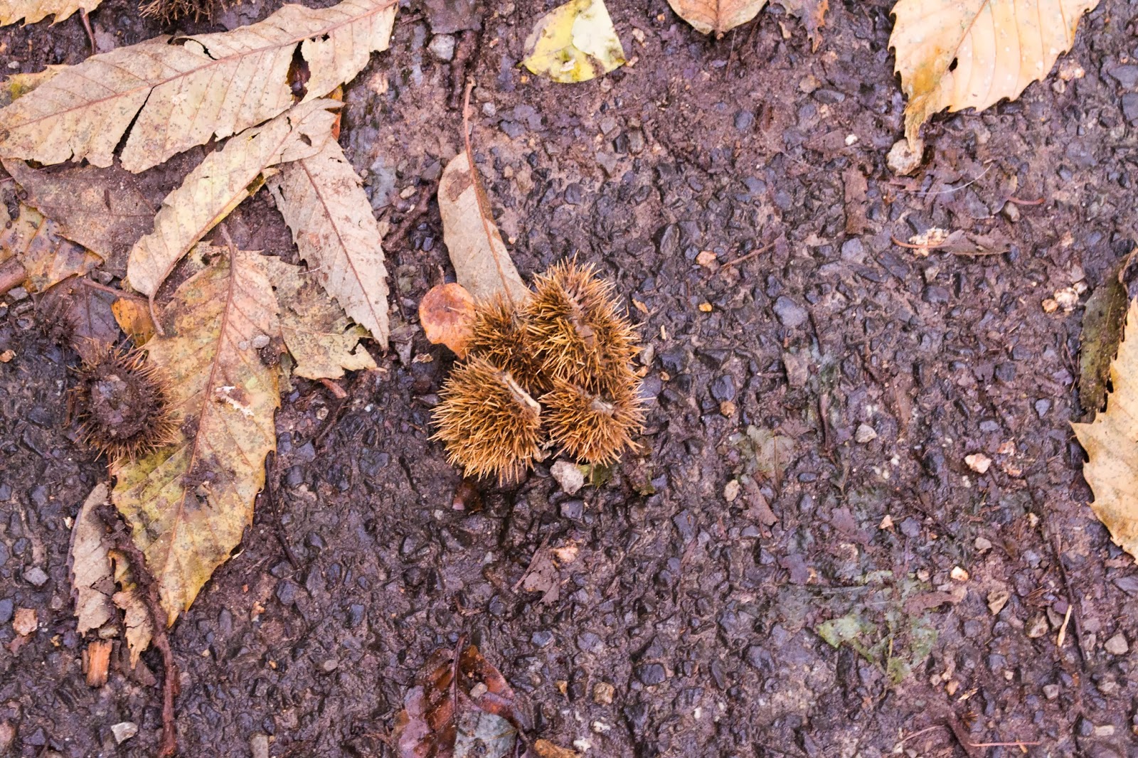 Can T Even Move But I Miss You Most Of All My Darling