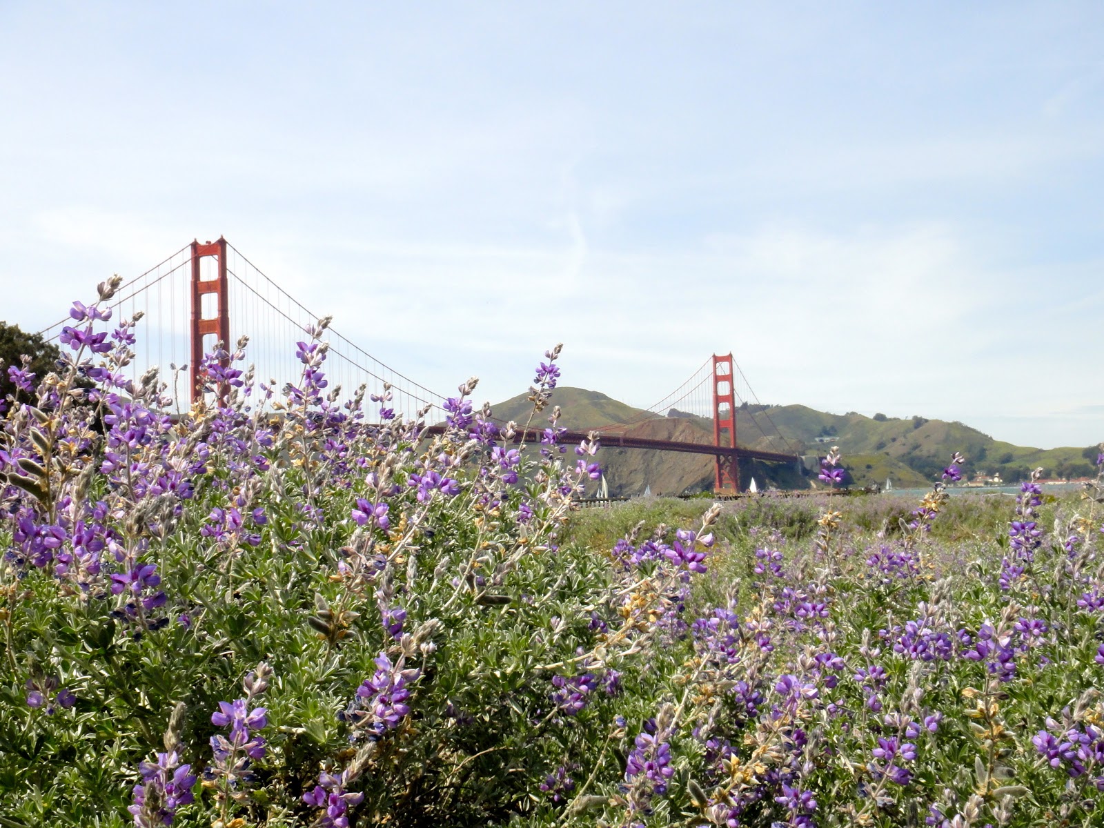 Val's Corner San Francisco Spring Break