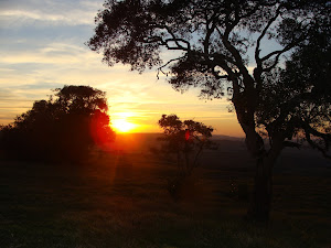 O por do sol na campanha