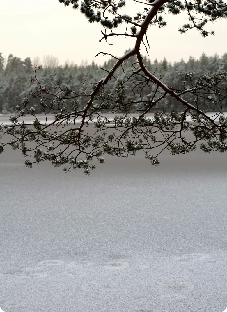 Maisema Mrtsälampi