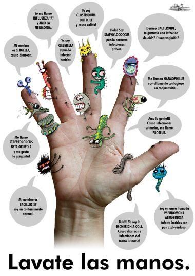Microorganismos en tus manos