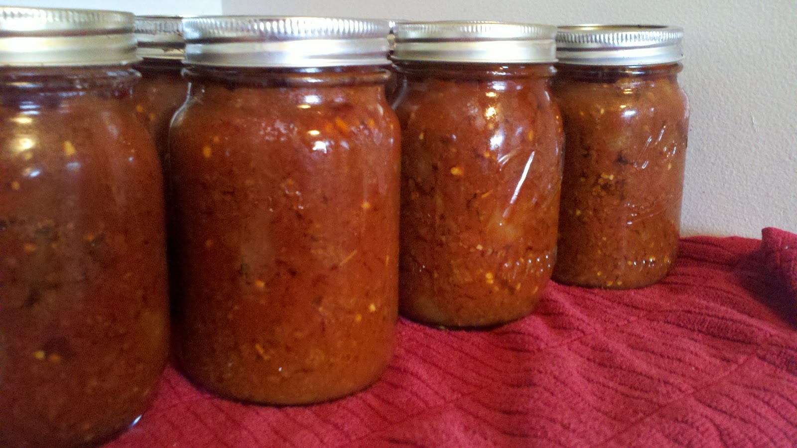 Chicken Soup for the Bowl CANNING SLOPPY JOES