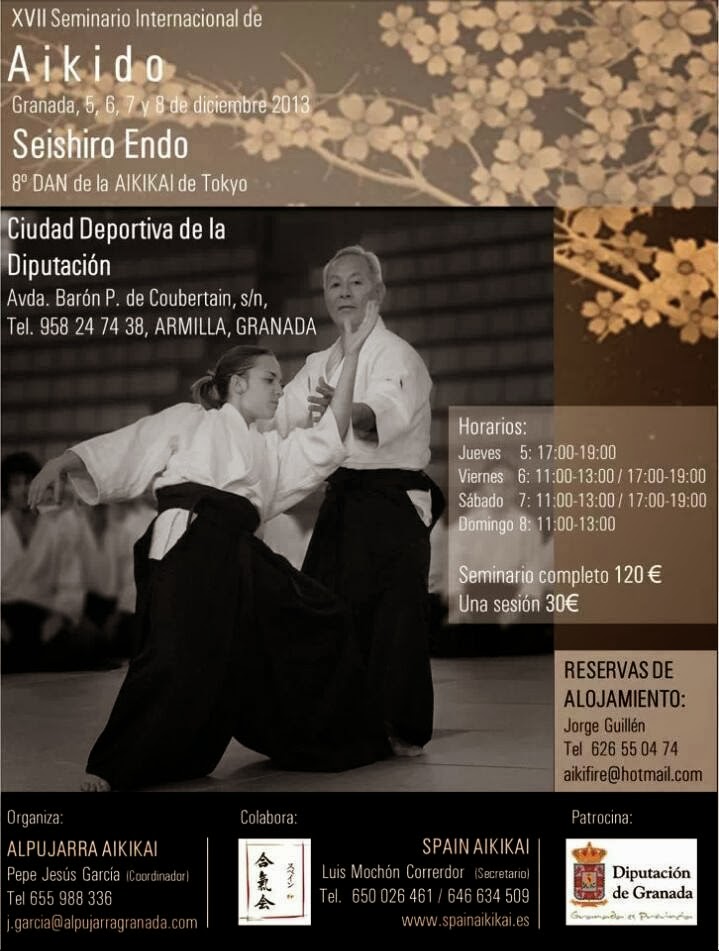 Aikido Vilanova del Vallès noviembre 2013