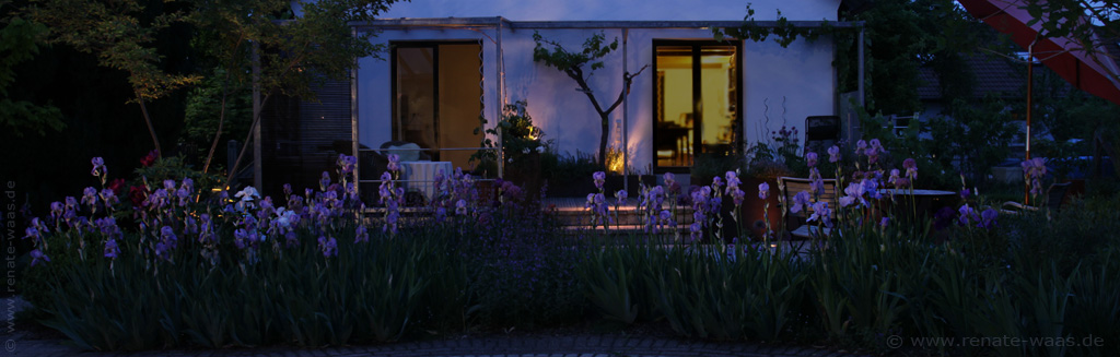 Gartenblog zu Gartenplanung, Gartendesign und Gartengestaltung