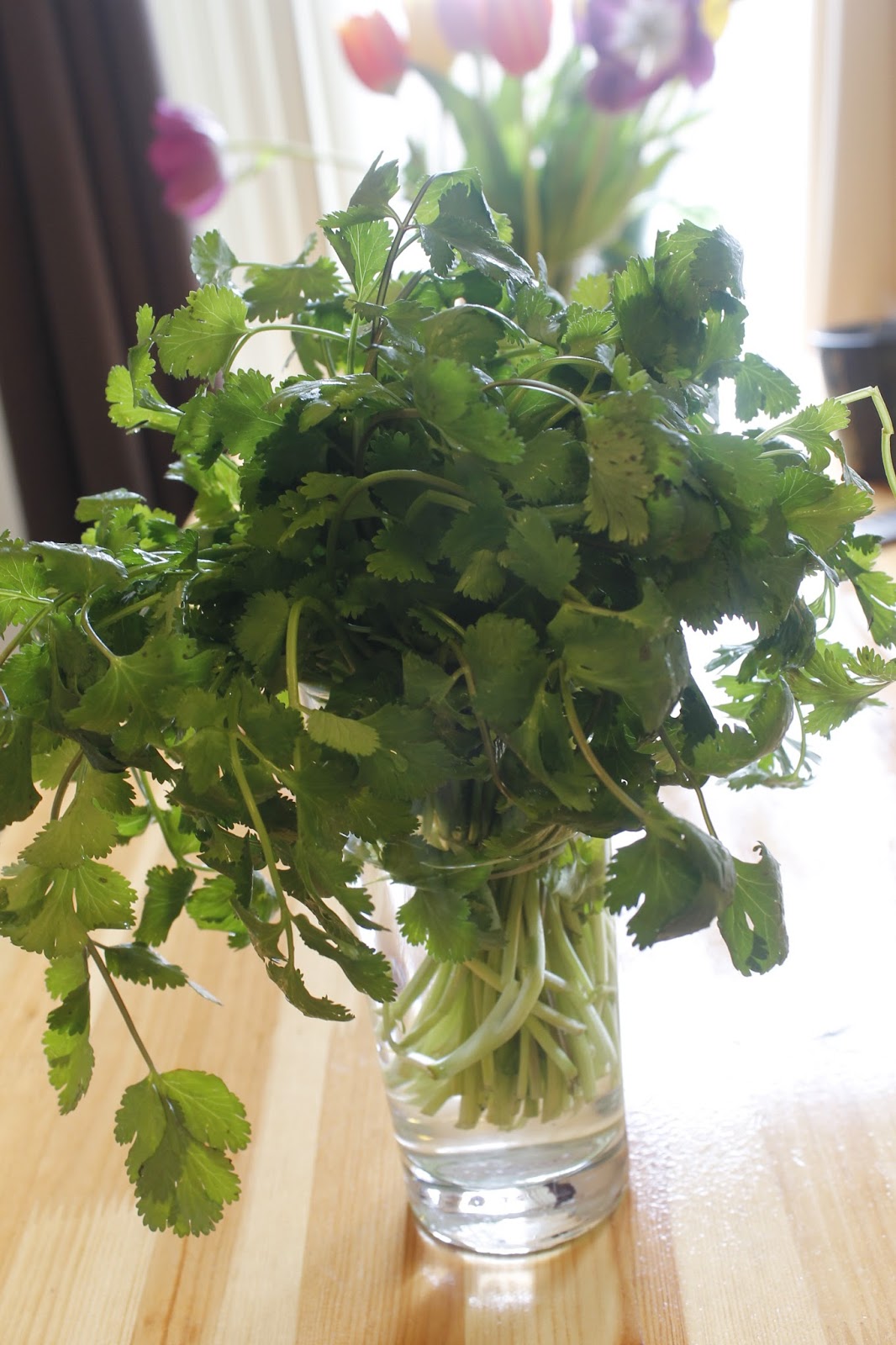 Simply Natural and Fabulous Keep Your Cilantro Fresh for Longer