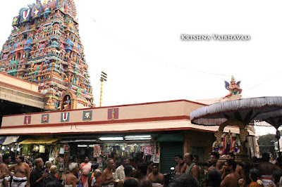 2015, Brahmotsavam, Sri Ranganatha Swamy, Parthasarathy Temple, Thiruvallikeni, Triplicane, Revathi Nakshatram