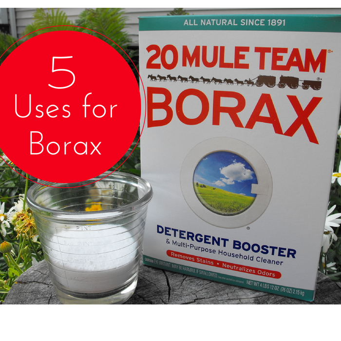 Smile for no reason 5 Everyday Uses For Borax Detergent Booster