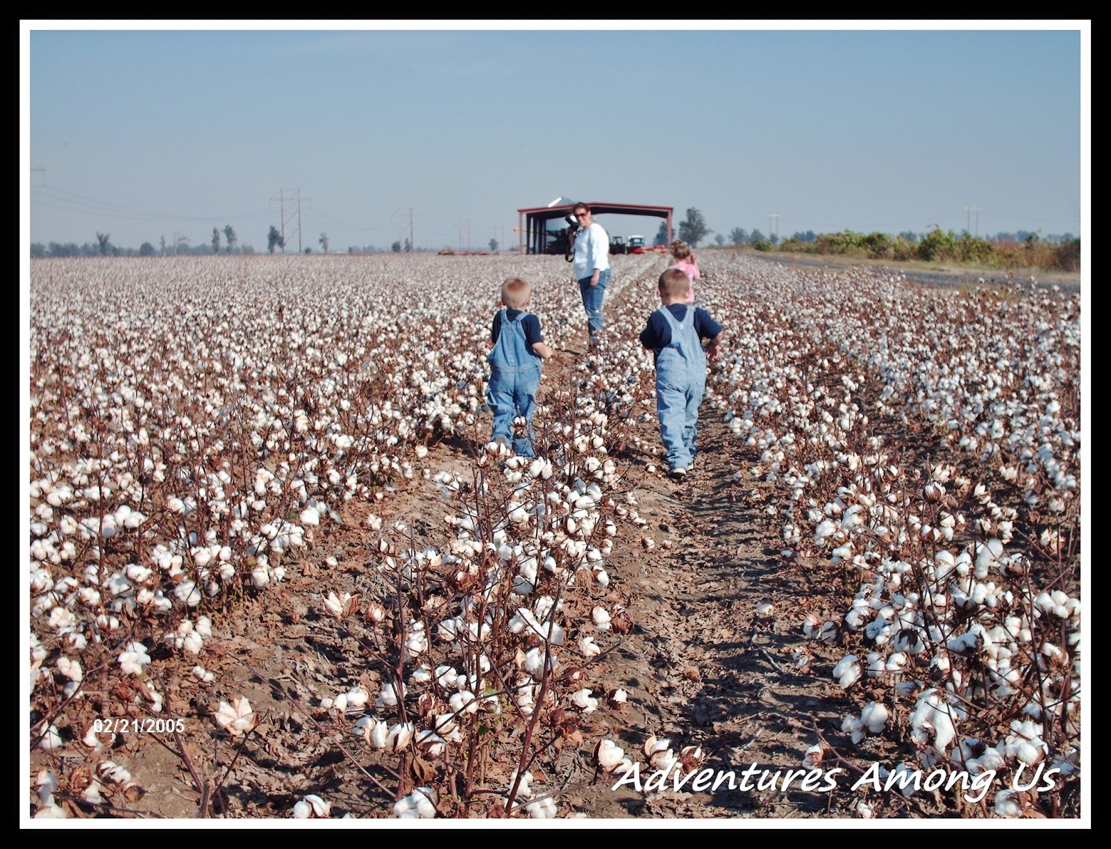 The Missouri Mom 45 Things to do in Missouri