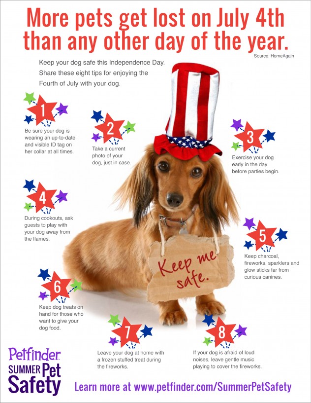 Fireworks and Pet Safety: Don't Lose YOUR Dog! - The Daily Corgi