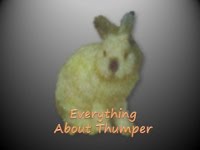 Everything About Thumper