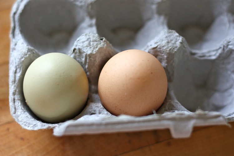 ben and birdy Fried Eggs with Sizzling Vinegar