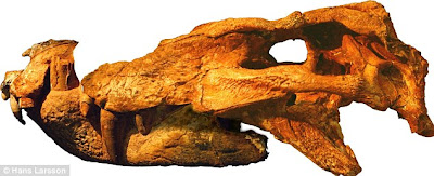 恐龍殺手 波羅鱷 - 狗頭犬齒的波羅鱷 Pissarrachampsa sera 是「恐龍殺手」！