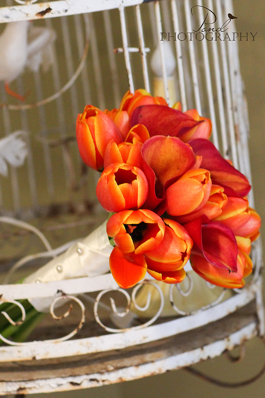 Good Earth Floral Design Studio July 2012