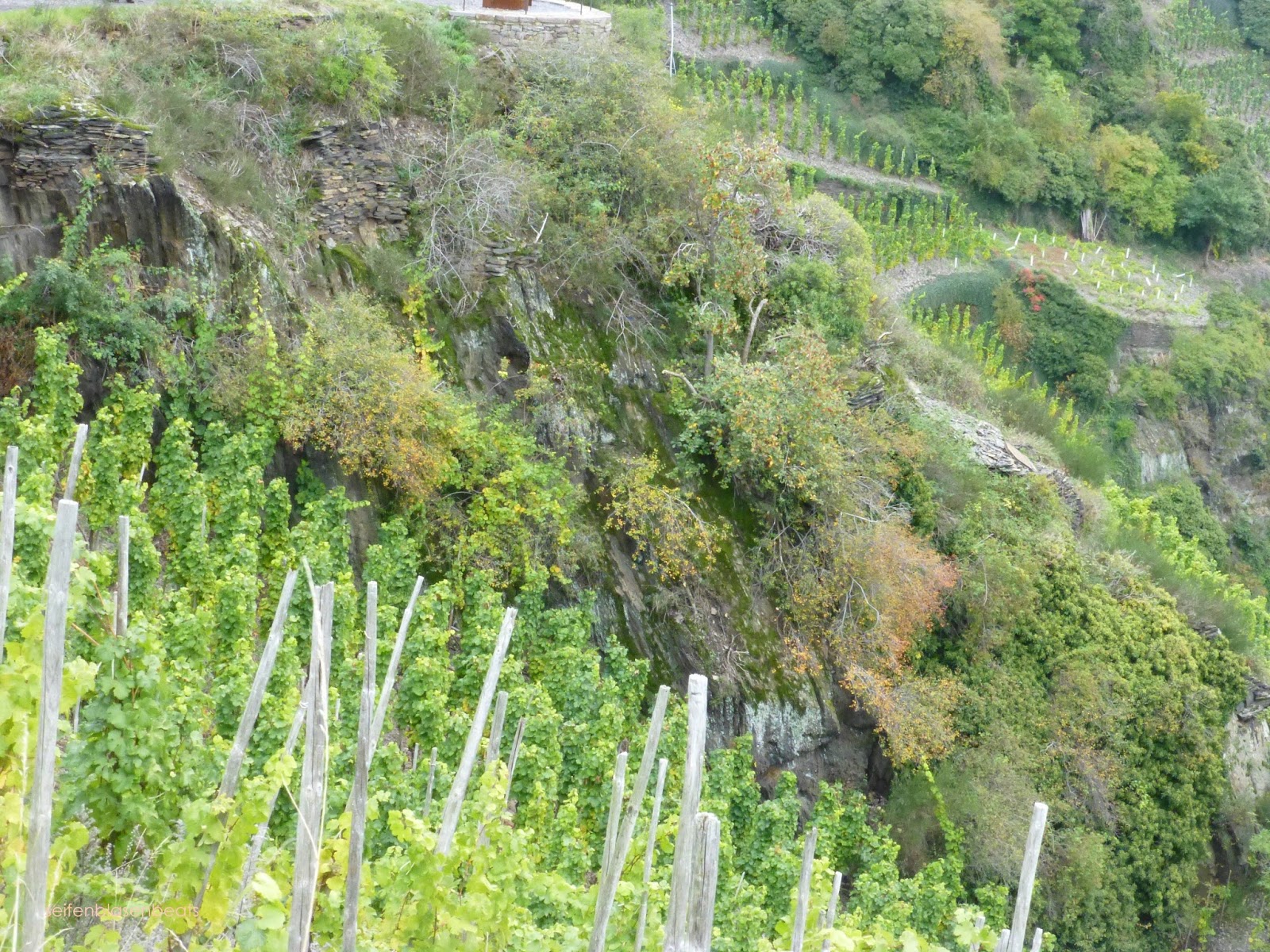 Interviewseite Helga Konig Und Peter J Konig Buch Kultur Und