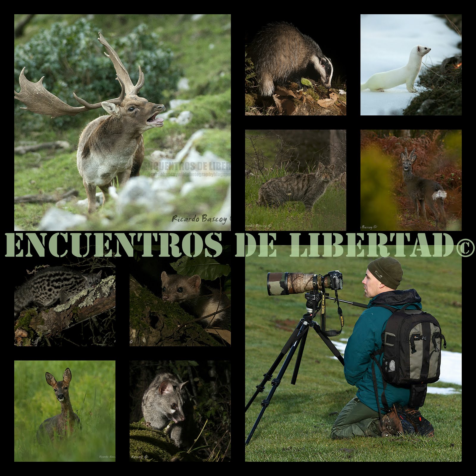 ENCUENTROS DE LIBERTAD