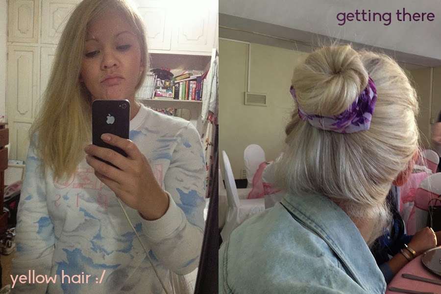 Noveltyforever February 2014