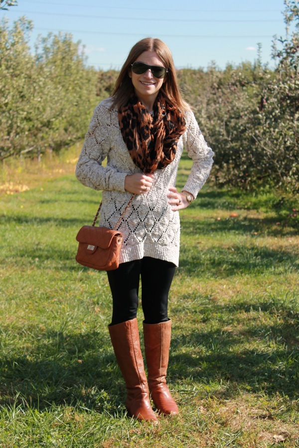 The Tiny Heart: Pumpkin Patch