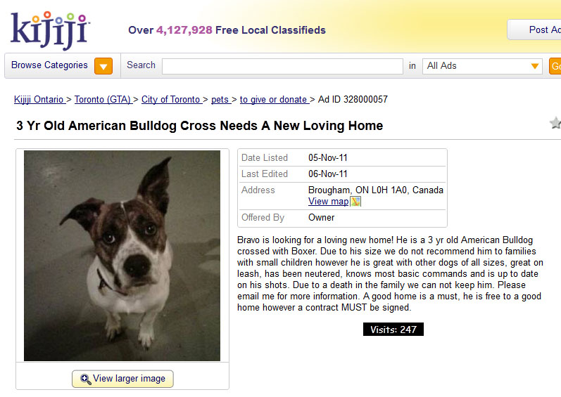 Bravo Lost to Kijiji