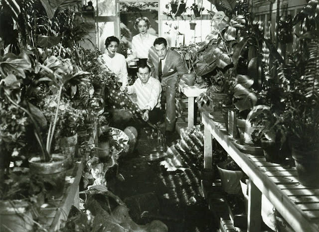 a depiction of american culture in the movie invasion of the body snatchers He was known for the visually innovative and explicit depiction of action and invasion of the body snatchers, american movie classics sam peckinpah. a depiction of american culture in the movie invasion of the body snatchers He was known for the visually innovative and explicit depiction of action and invasion of the body snatchers, american movie classics sam peckinpah.