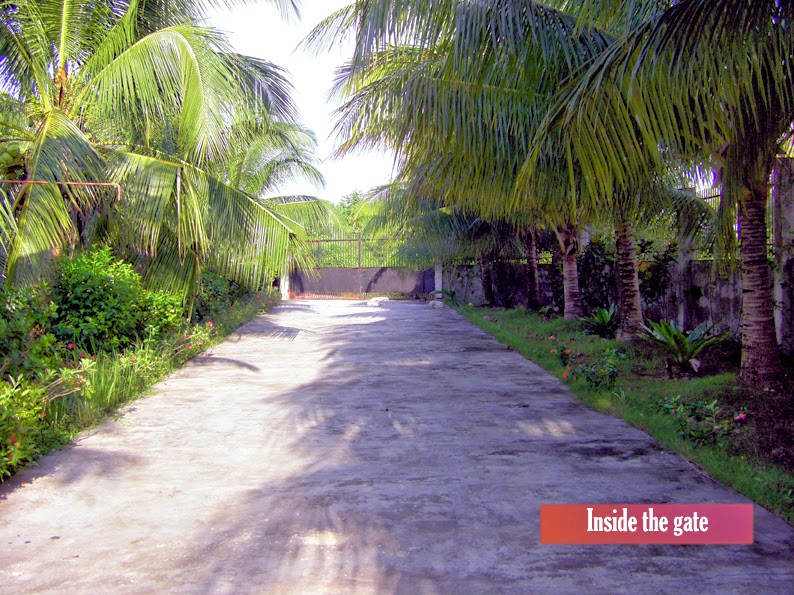 Philippines BoholPanglao island Dauis land for sale Philippines Bohol