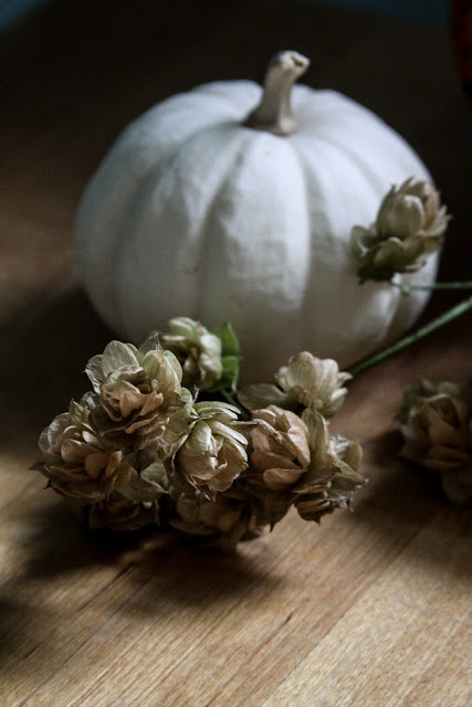 hops, pumpkins, autumn, autumn decorations, Anne Butera, My Giant Strawberry