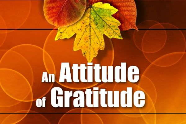 What pizza chains are open on thanksgiving What pizza chains are open on thanksgiving