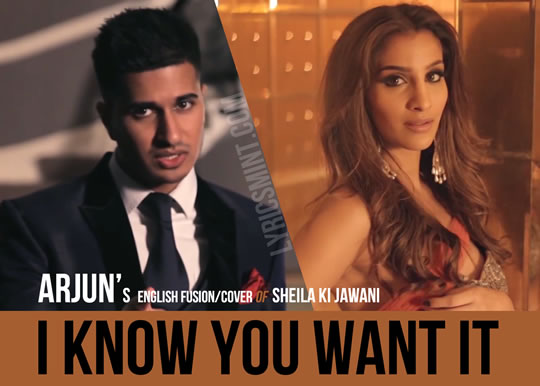 I Know You Want It - ARJUN