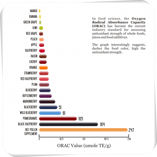 MY GREEN LADY WHAT IS AN ANTIOXIDANT?, WHAT IS A FREE RADICAL? FOODS