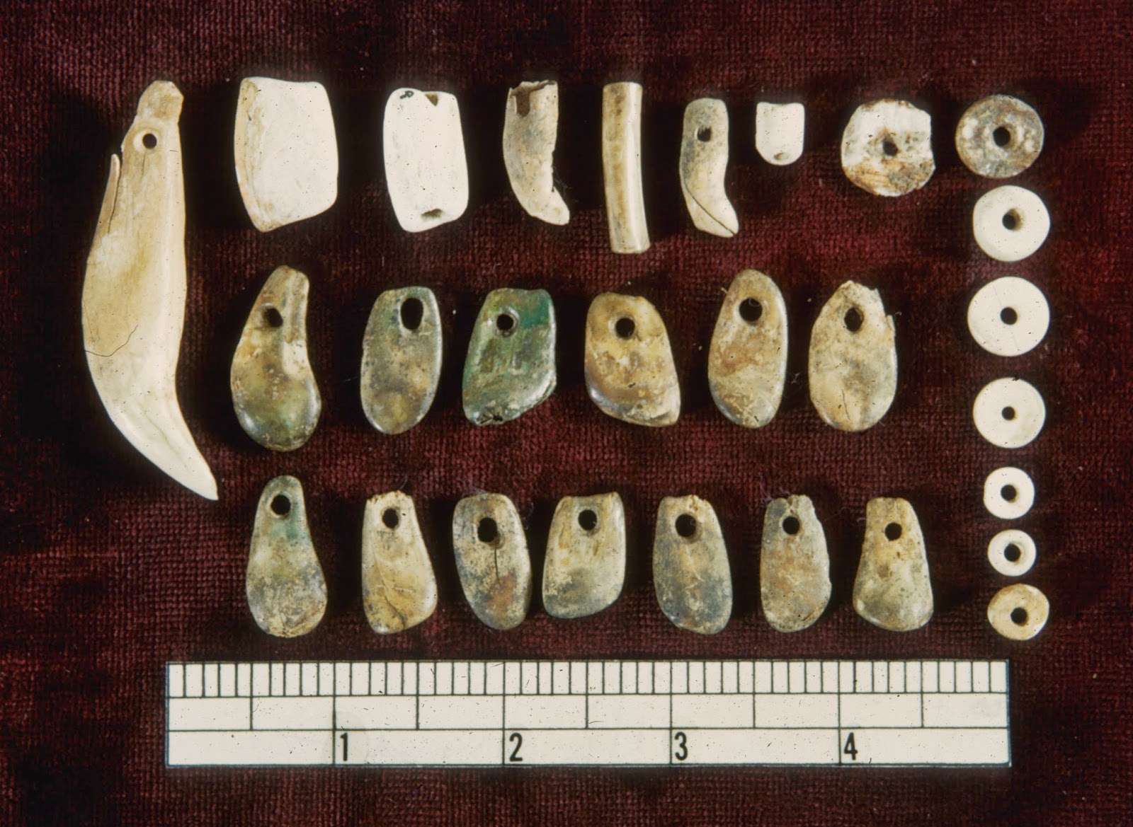 Oldest Known Shell Beads  The Smithsonian Institution's Human Origins  Program