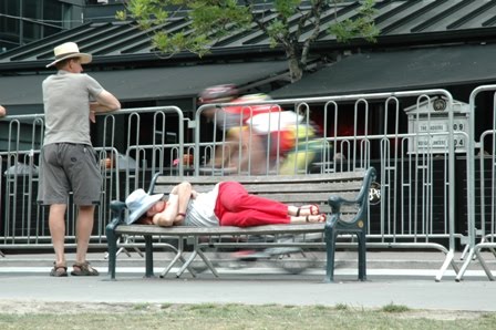 Eclectic Cyclist NZ