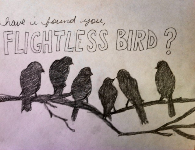 Flightless Bird American Mouth Tumblr