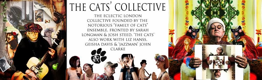 THE FAMILY OF CATS - ECLECTIC COLLECTIVE