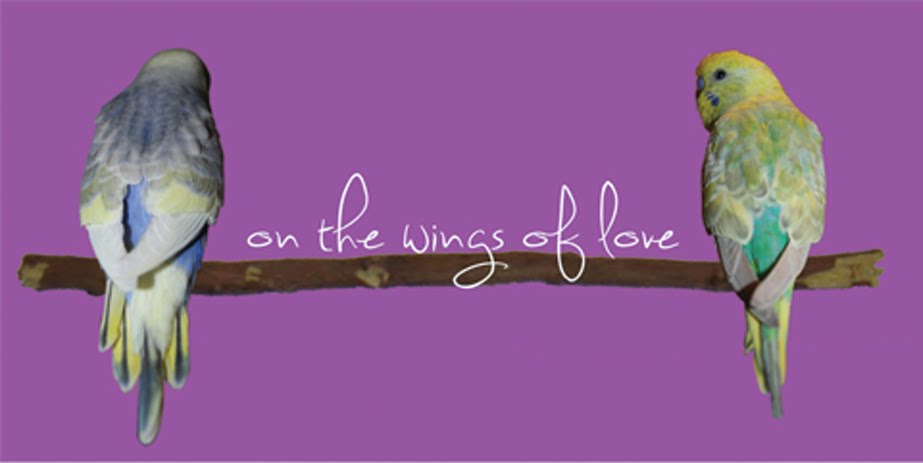 On the wings of love