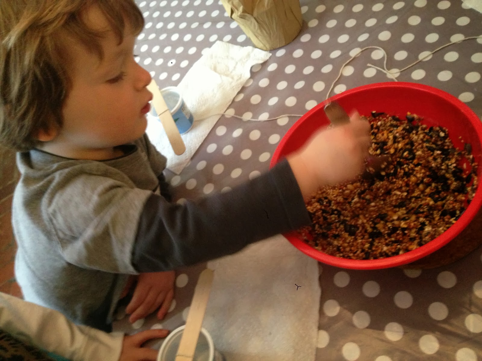The Blue Barn Yogurt Pot Bird Feeders