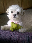 My littlest love...