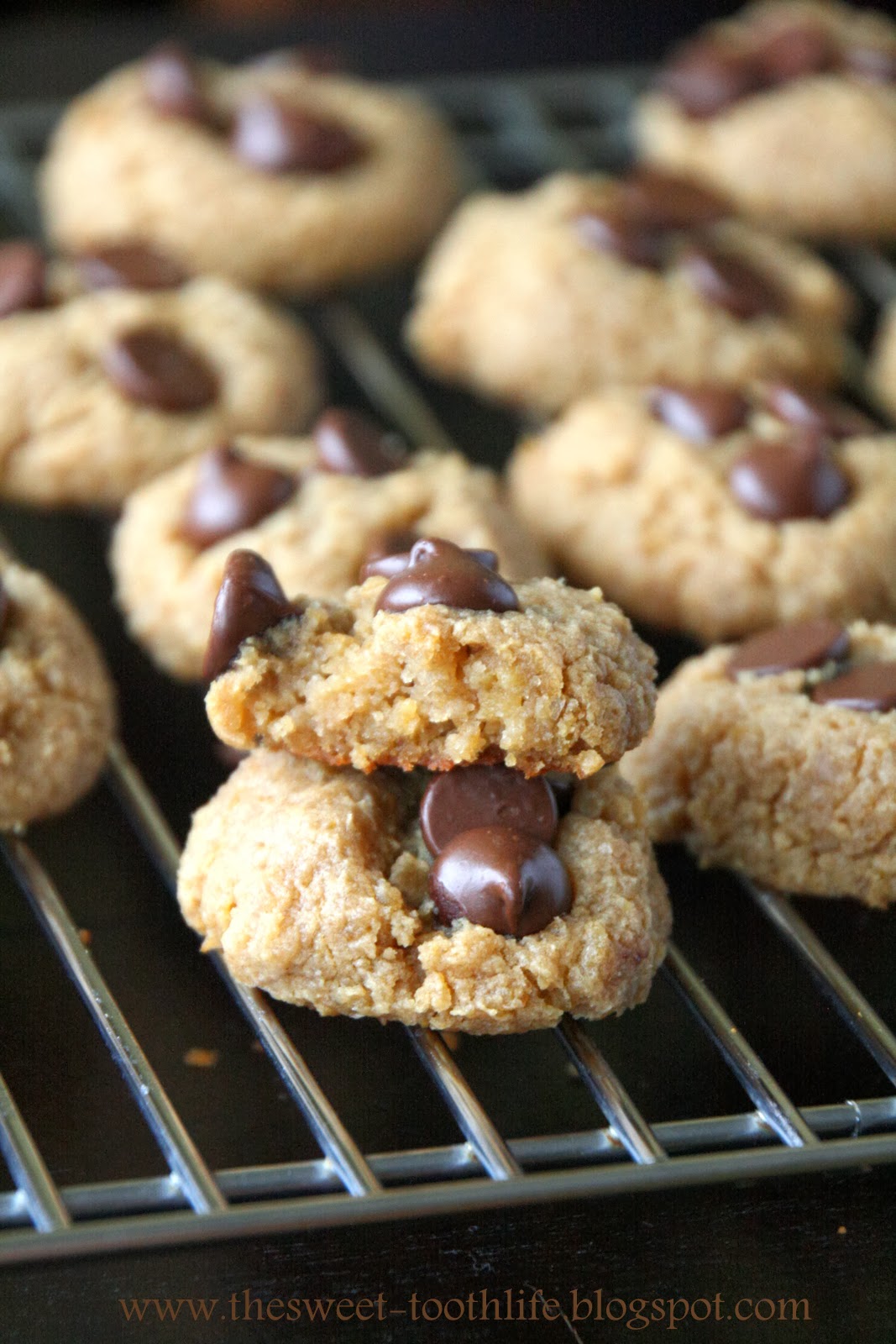 The Sweet {Tooth} Life Vegan Flourless Peanut Butter Chocolate Chip Cookies