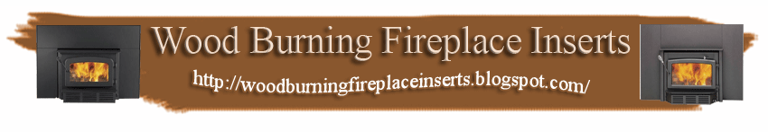 Wood burning fireplace inserts