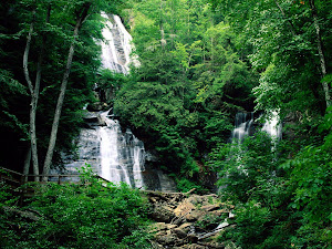 Hutan Hujan Indonesia