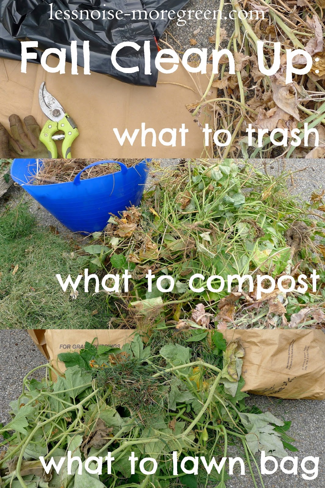 Fall Clean Up: what to compost, what to lawn bag and what to trash, urban farming, gardening