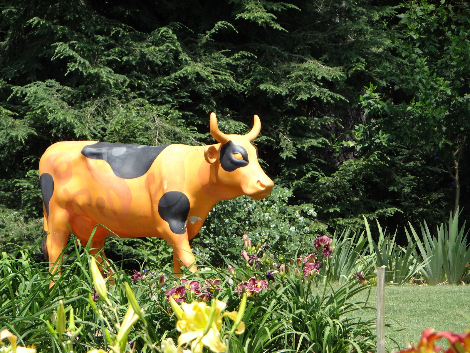 Atlanta Weekend... | Part One: Kennesaw Mountain Daylilies | a girl and