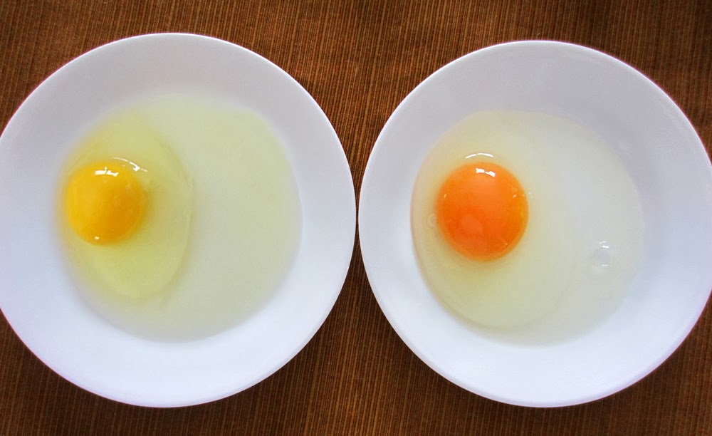 Blancs d'œuf : leurs utilisations surprenantes dans vos ménages !