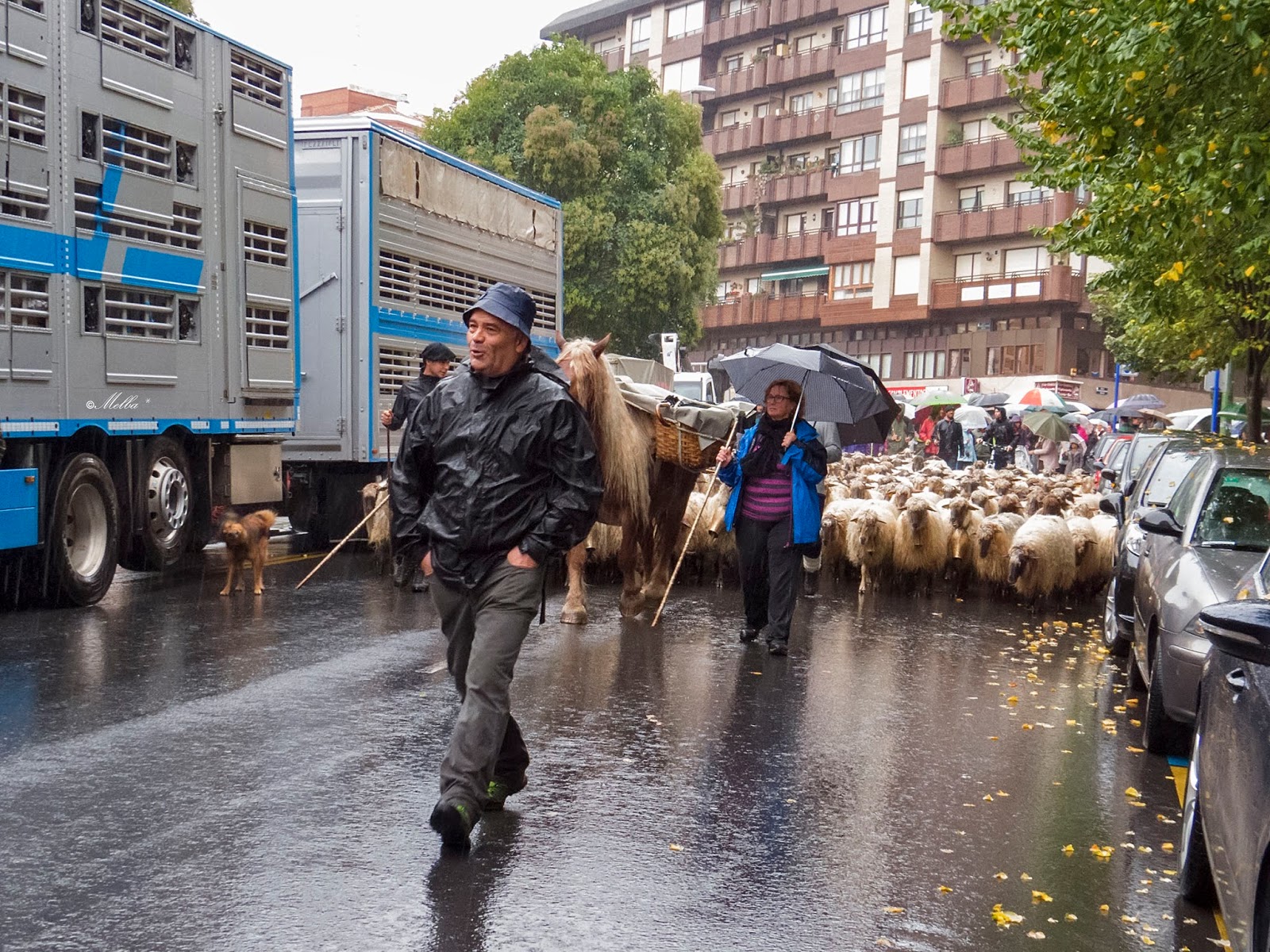 Trashumancia Viajes de Txilekoa