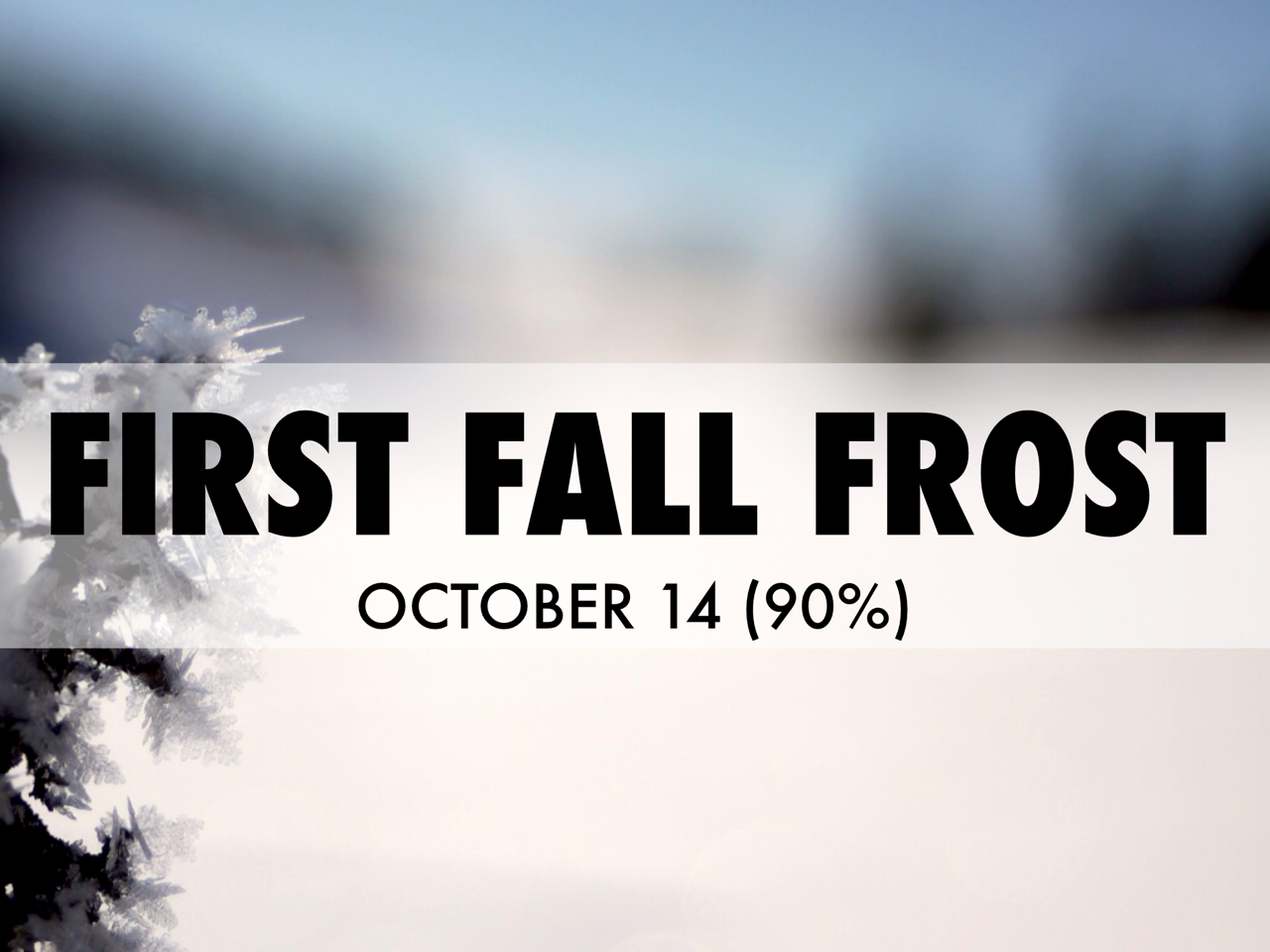 First Fall Frost