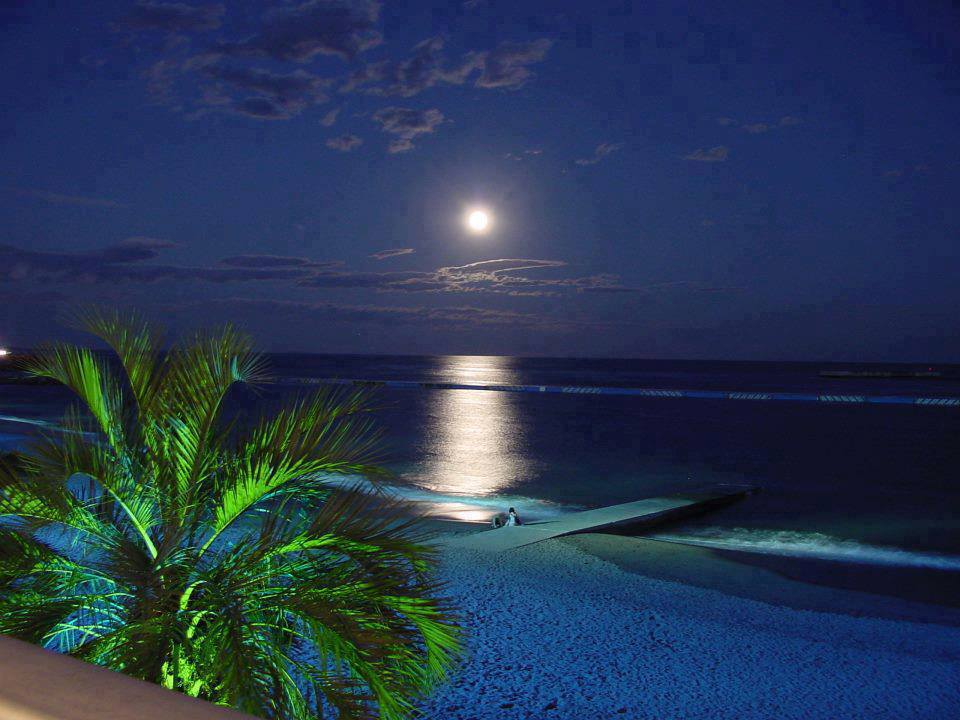 Goodnight and sweet dreams from the islands...
