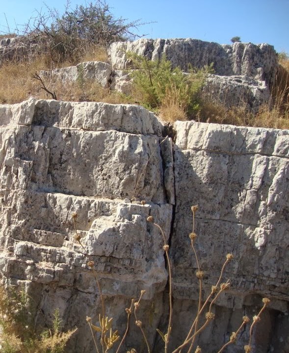 agromadel_ - 🔵𝐋𝐚 𝐂𝐀𝐋 es un material cementante de 𝐨𝐫𝐢𝐠𝐞𝐧  𝐧𝐚𝐭𝐮𝐫𝐚𝐥 que se encuentra en la naturaleza como piedra caliza, la  cual está compuesta sobretodo por carbonato de calcio (CaCO3). Cuando el
