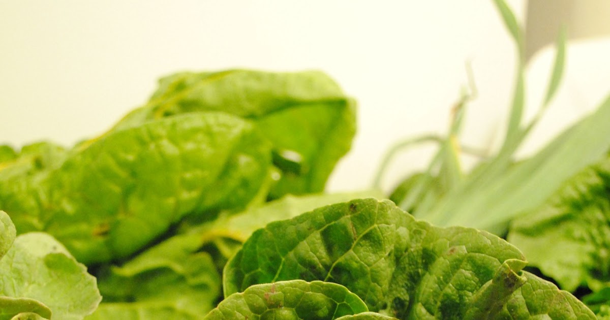 Caprese Salad with Little Gems Lettuce