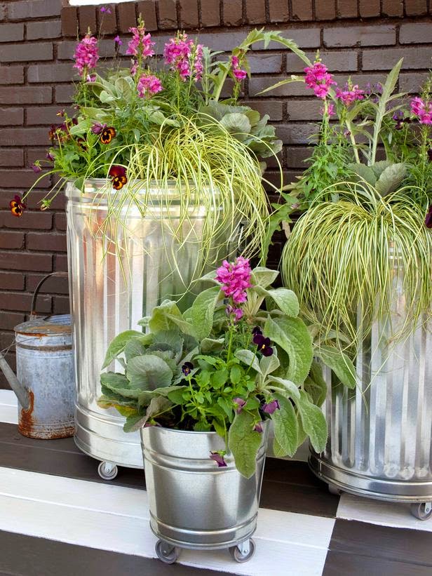 Upcycled and unusual container plants Subtropical Gardening