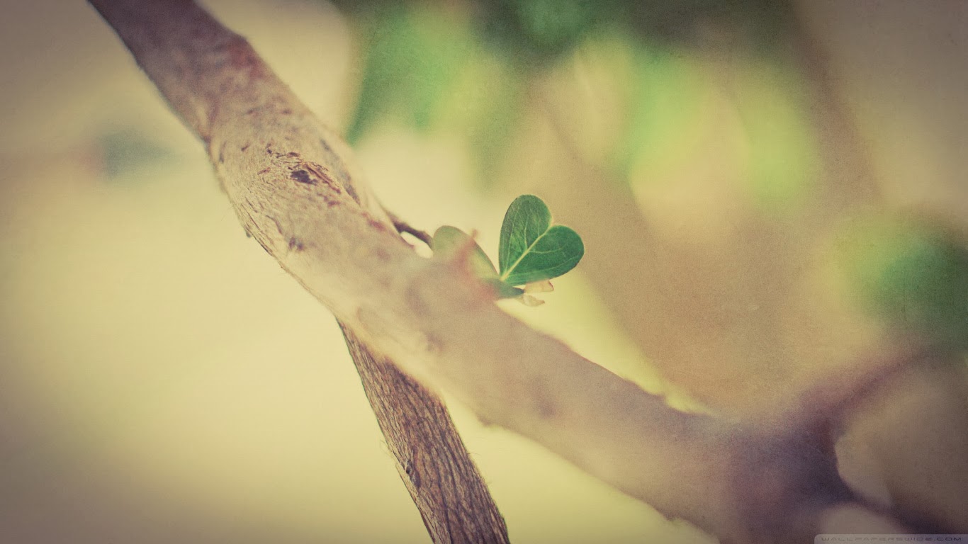 Love Wallpapers Download for Free Love Wallpapers Download for Free